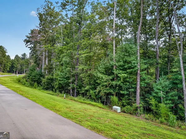 14 Clear Creek Trl, Ellijay, GA 30536