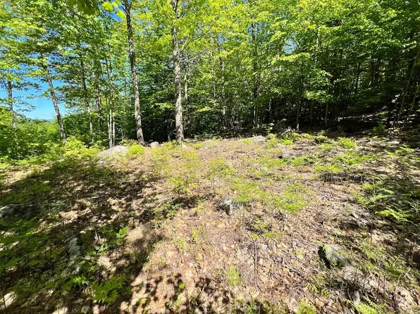 Lot #31A McDaniels Road, Waterford, ME 04088