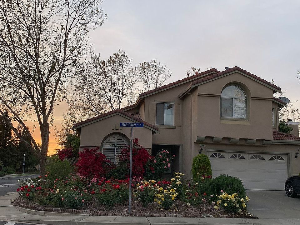 Spring & Sunset
