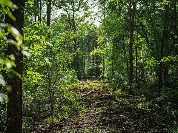 1-7 Forteen Forever Rd Lot 14, New Waverly, TX 77358