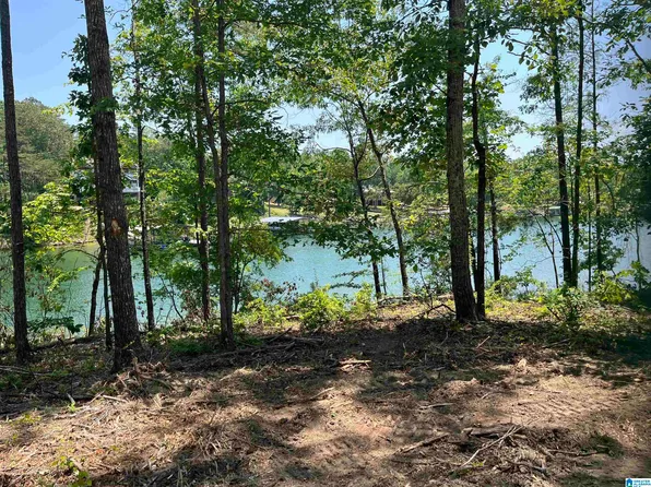 1576 Bear Branch Pl #0, Double Springs, AL 35553