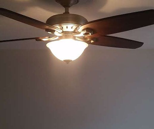 3rd image of 203 Augusta Dr