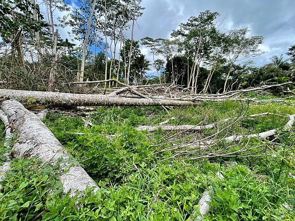 5th image of Puni Mauka Loop N Lot 31