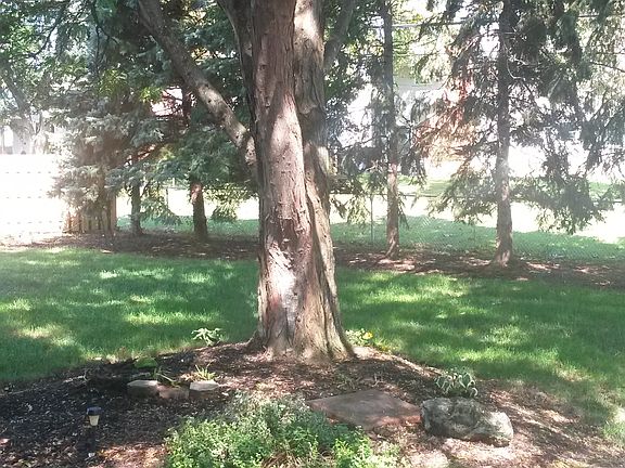 4th image of 2626 Bryan Cir