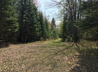 Neumans Rd, Alpena, MI 49707