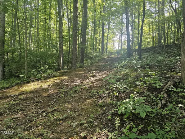 2 Franklin Ln Lot 2, Sevierville, TN 37876
