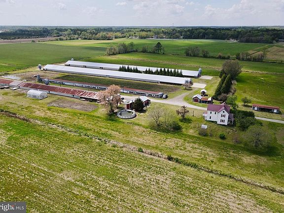 2nd image of 36555 Sheppards Crossing Rd