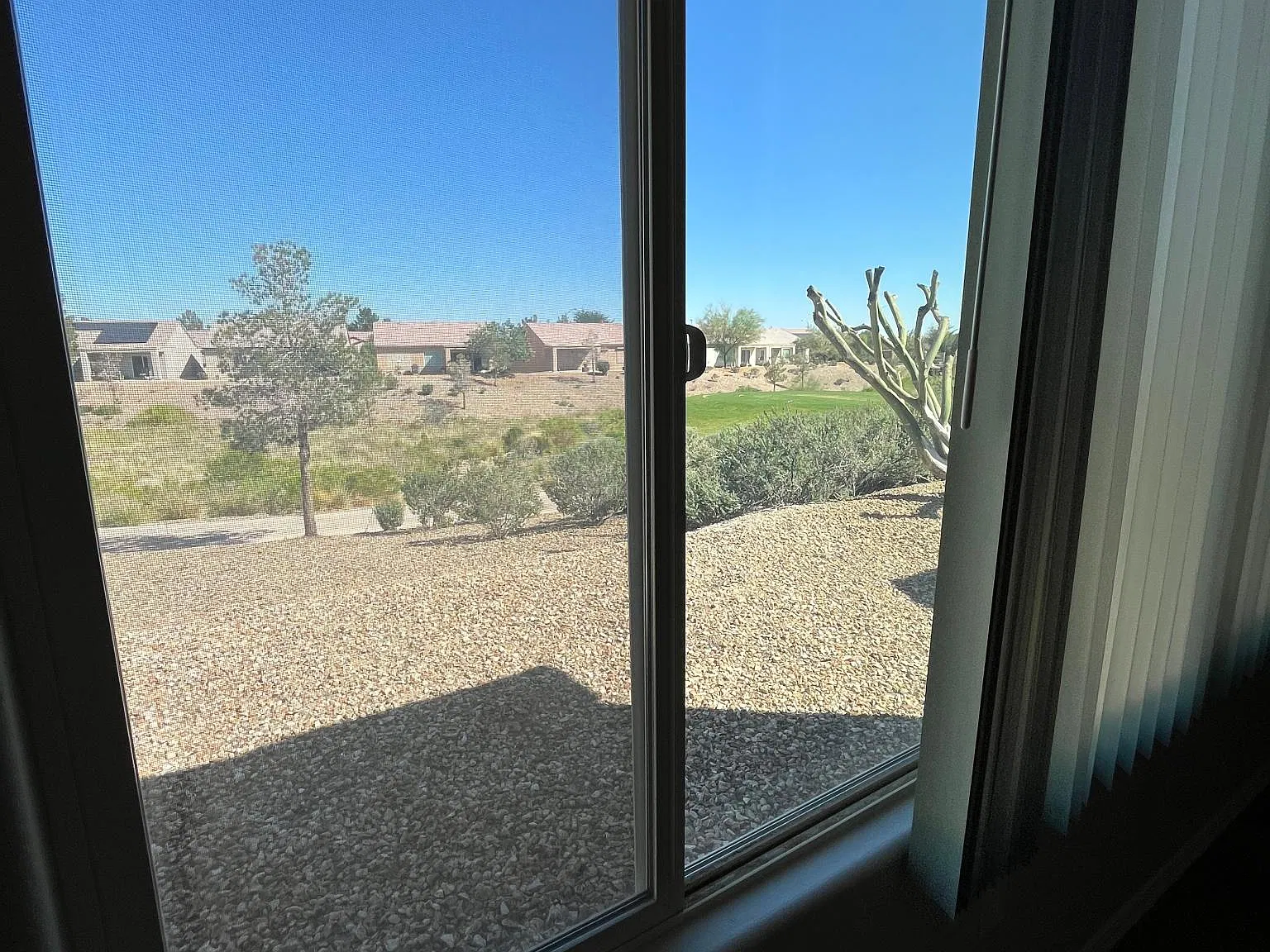 7378 Grassquit St — Photo 4