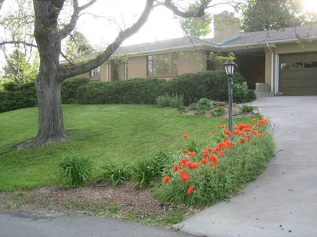 Winfield Dr
