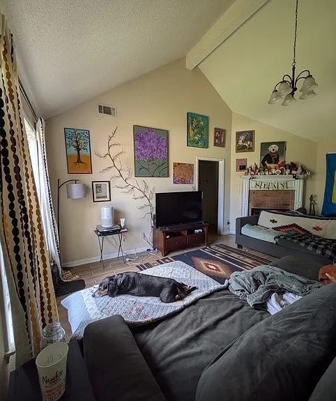 8242 Floral Springs Dr — Photo 4