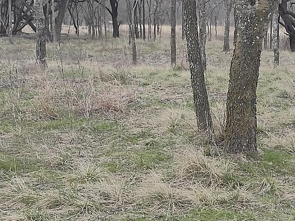 3rd image of 138 Private Road 226