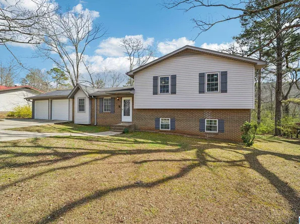 100 Oak Ln, Oneonta, AL 35121