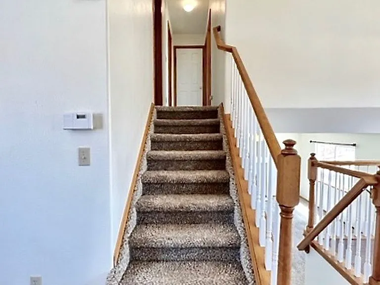 4275 Addax Ct — Photo 21