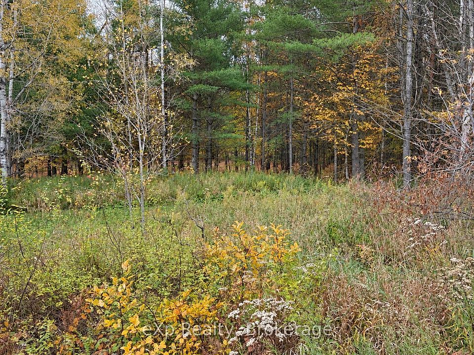 2nd image of 1003 Silver Lake Rd