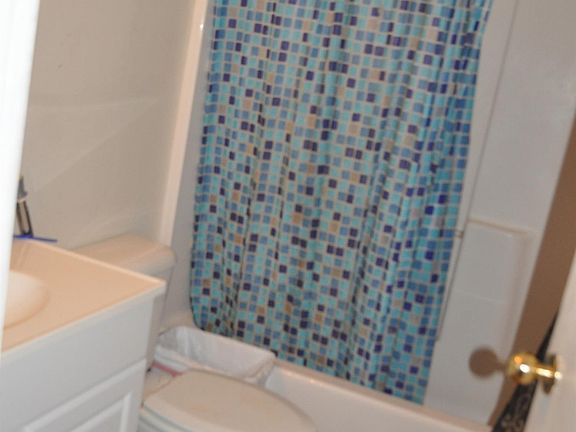 5th image of 524 Big Bear Ln #526