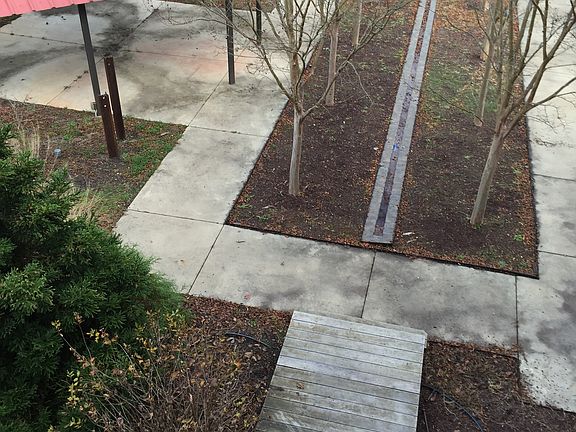 Rear Patio and Garden