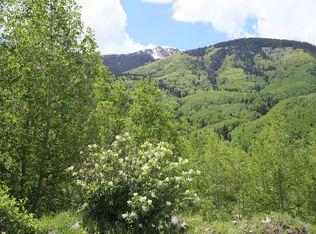 239 S Commercial St, Rico, CO 81332