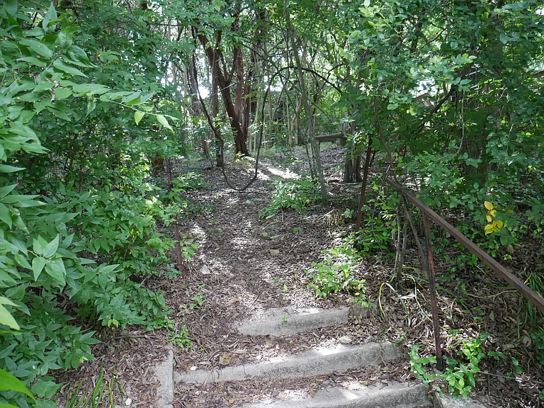 Steps to the woods