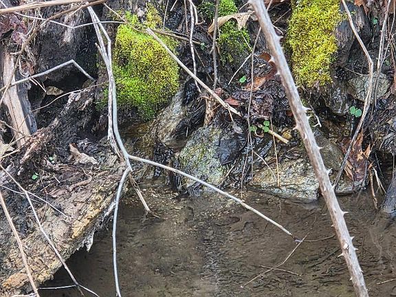 3rd image of Tbd Tiger Creek Rd