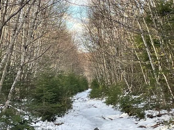 M7 L4 Off Ward Ridge Road, Wellington, ME 04942