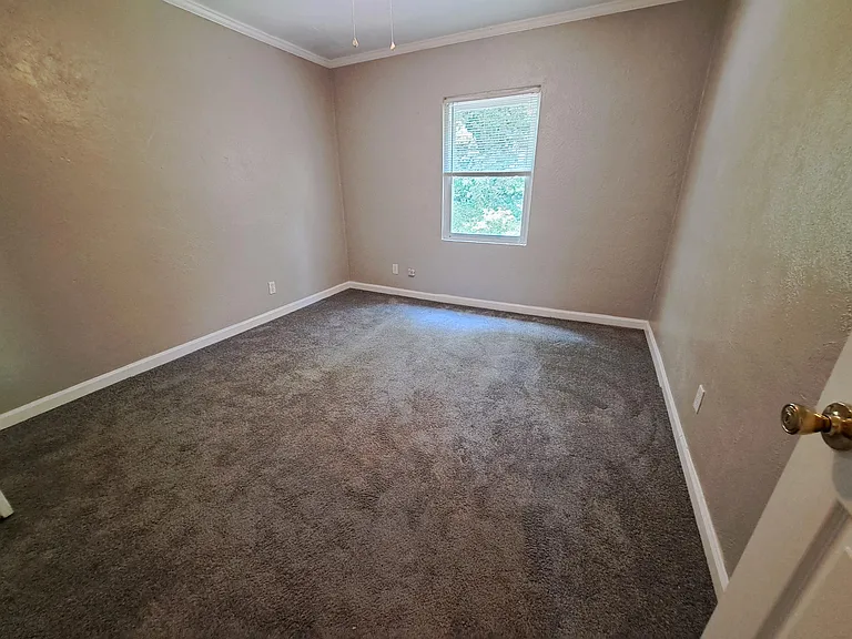 705 Alexander St #1 — Photo 6