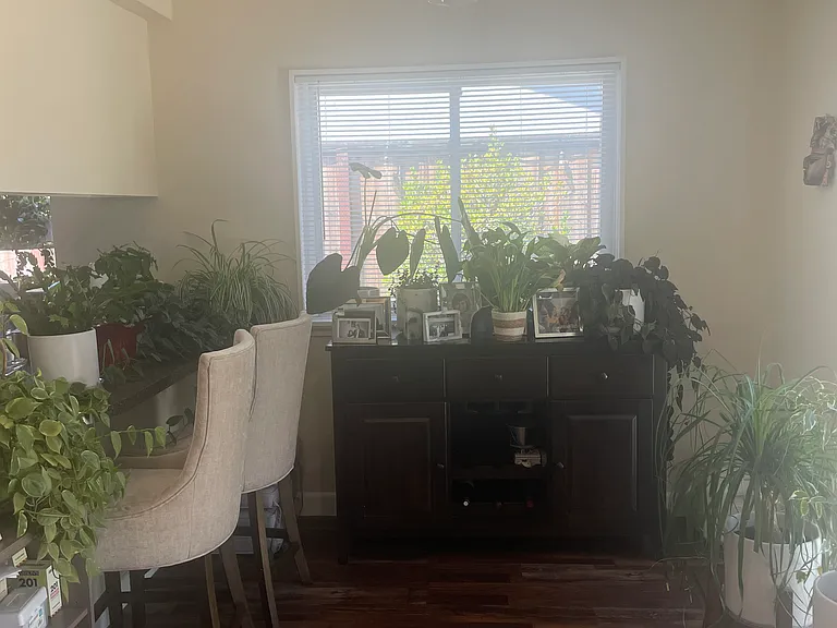 4109 Margaret Ct — Photo 33