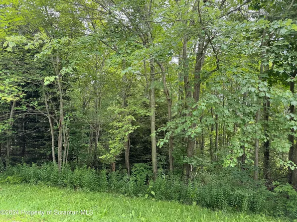 O'Hara Rd, Moscow, PA 18444