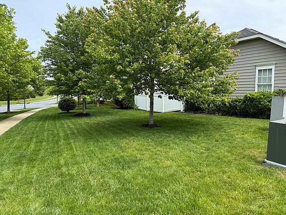 side yard