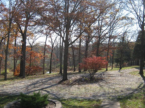 View from Front Porch