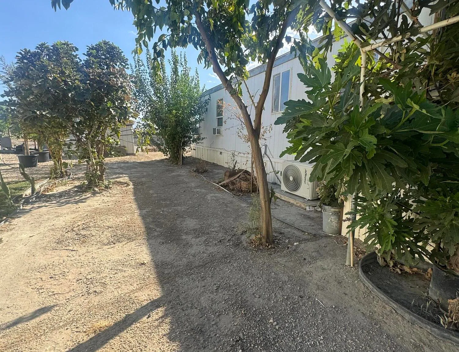 3 bed, 1000 sqft, $1,950 — Photo 2
