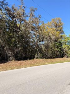 Locust Run #26, Ocala, FL, 34472