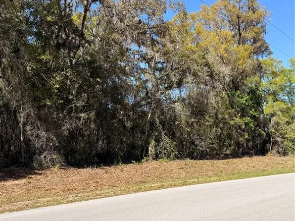 Locust Run #26, Ocala, FL 34472