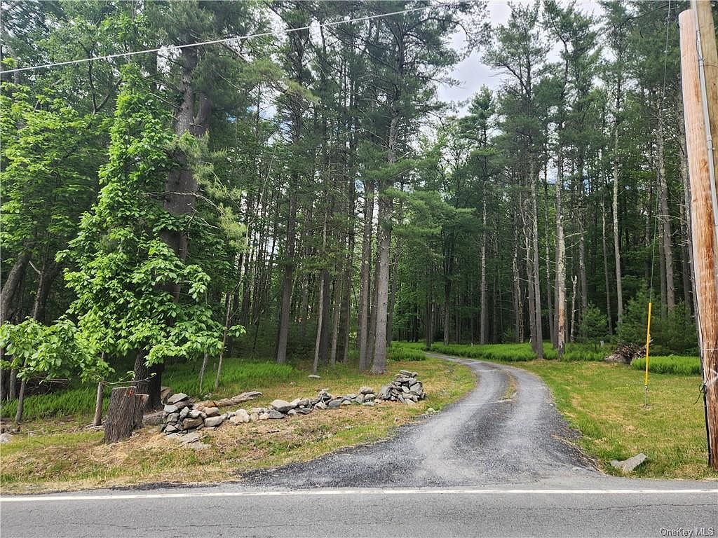 49 Proctor Road, Eldred, NY 12732 Zillow