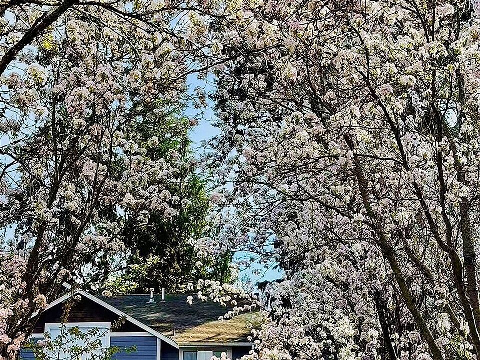 8603 NE 141st St, Kirkland, WA 98034 | Zillow