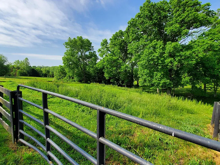 rear field, natural creek at base