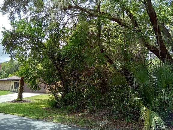 3rd image of 34 Wild Olive Ct