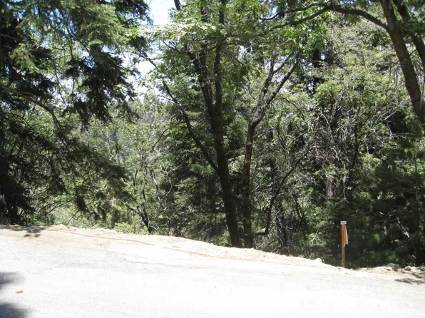 0 Forest Ln, Twin Peaks, CA 92391