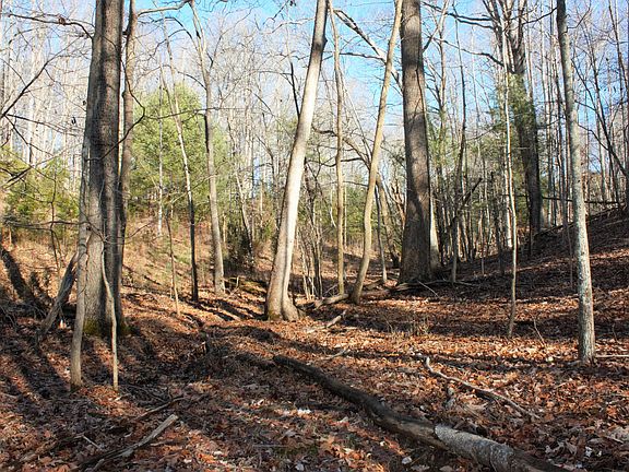 3rd image of 0 Old Ridge Dr
