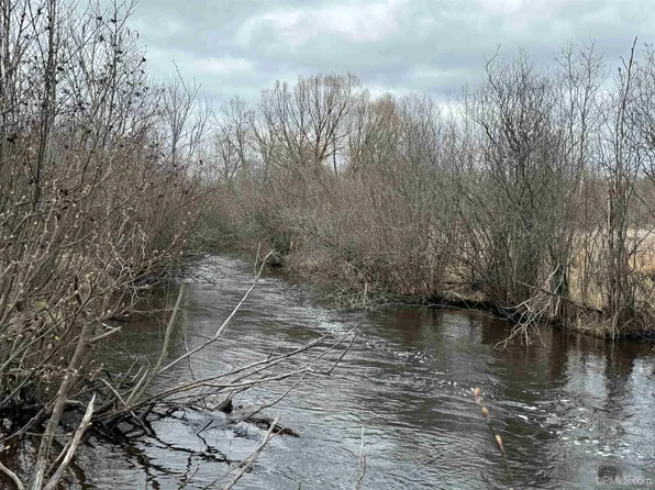 Tbd McGillis Ave, Caspian, MI 49915