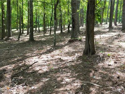 14890 Freemanville Rd, Alpharetta, GA, 30004