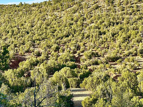 4th image of Sena Ranch Rd