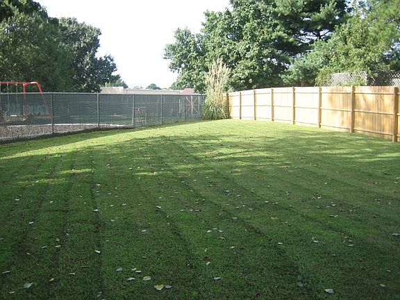 Large Back Yard