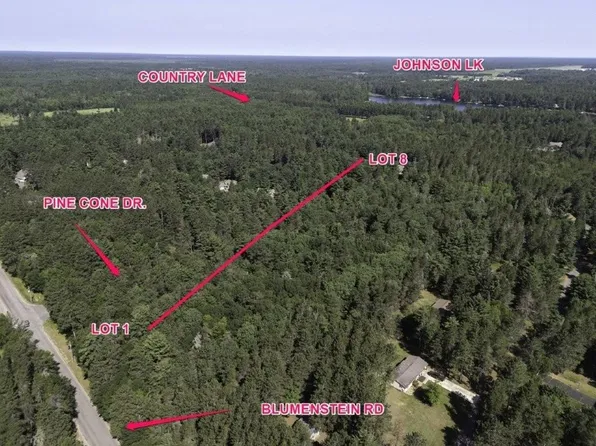 LOT 2 Pine Cone Dr, Woodruff, WI 54568