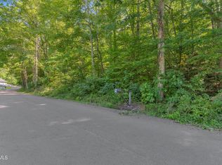 0 Artesian Well Hollow Rd, Big Stone Gap, VA 24219