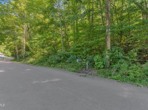 0 Artesian Well Hollow Rd, Big Stone Gap, VA 24219