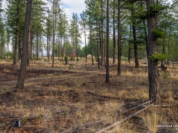 49 Basin Bnd N, Eureka, MT 59917