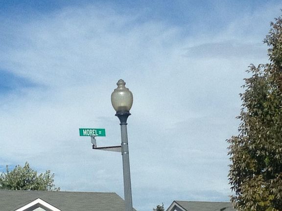 5th image of this home