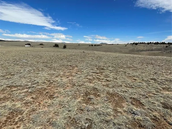 148 Grand Teton Drive, Hartsel, CO 80449