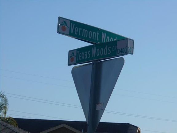 4th image of 13514 Texas Woods Cir