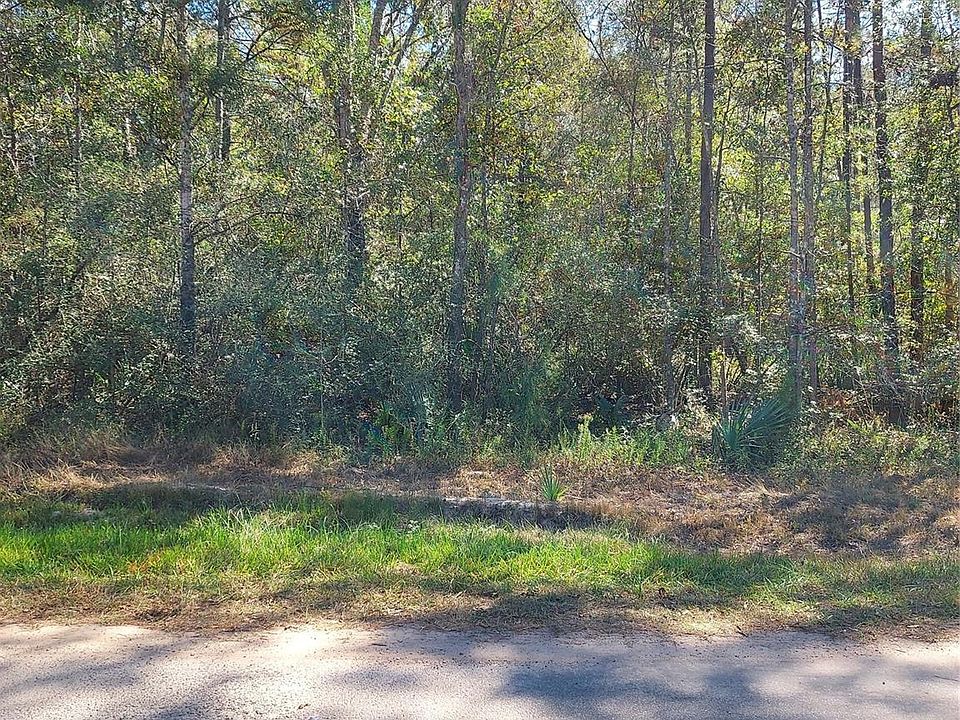 2nd image of County Road 349